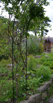 gallery/rose arch side tall