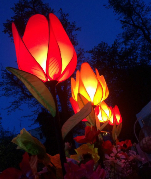 gallery/tulip lights