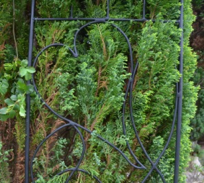 gallery/rose arch heart in fir