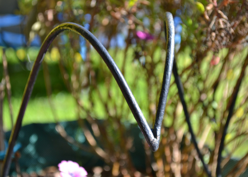 gallery/tulip planter curve detail