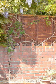 gallery/clematis trellis whole