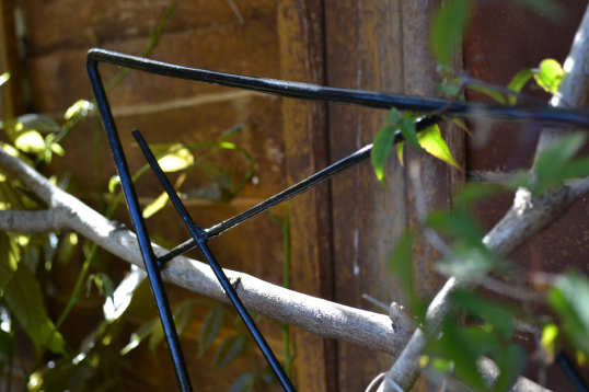 gallery/clematis trellis left detail