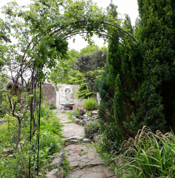 gallery/rose arch in situ