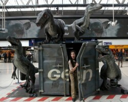 Raptors at Waterloo