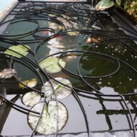 Pond Cover
