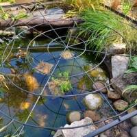 circles in circles pond cover