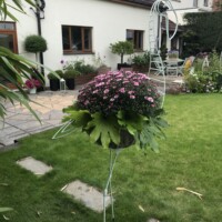 all planted up