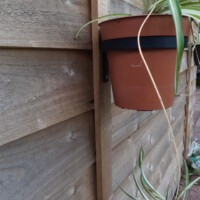 small screw fit plant ring